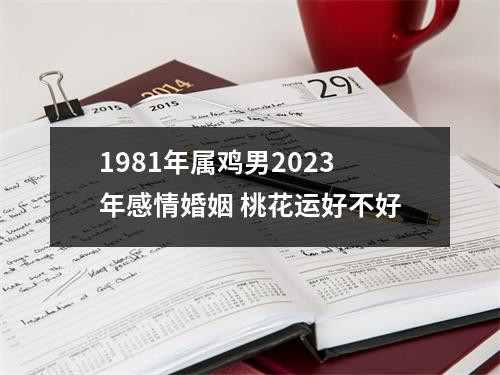 1981年属鸡男2025年感情婚姻桃花运好不好