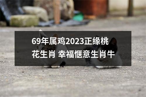 <h3>69年属鸡2025正缘桃花生肖幸福惬意生肖牛