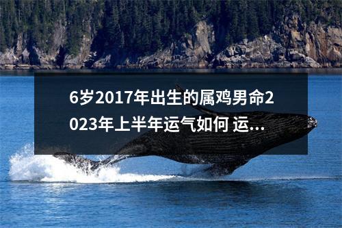 6岁2017年出生的属鸡男命2025年上半年运气如何运势详解