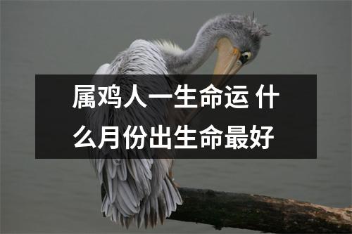 属鸡人一生命运什么月份出生命好