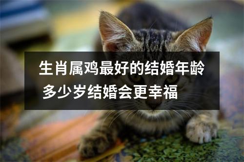 <h3>生肖属鸡好的结婚年龄多少岁结婚会更幸福