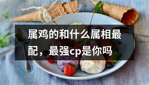 <h3>属鸡的和什么属相配，强cp是你吗