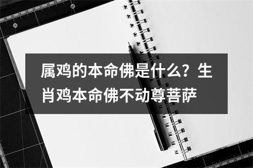 属鸡的本命佛是什么？生肖鸡本命佛不动尊菩萨