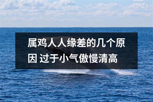 属鸡人人缘差的几个原因过于小气傲慢清高