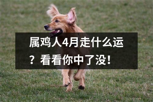 属鸡人4月走什么运？看看你中了没！