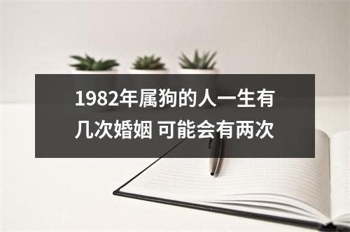 1982年属狗的人一生有几次婚姻可能会有两次