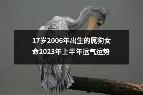 17岁2006年出生的属狗女命2025年上半年运气运势