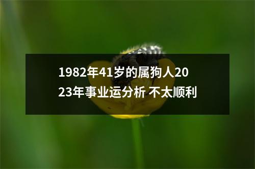 1982年41岁的属狗人2025年事业运分析不太顺利