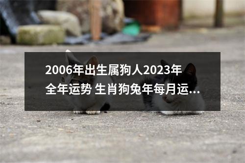 <h3>2006年出生属狗人2023年全年运势生肖狗兔年每月运势