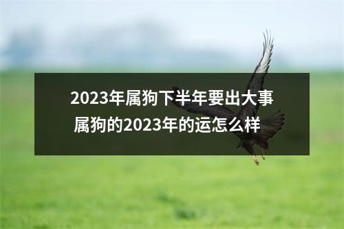 <h3>2025年属狗下半年要出大事属狗的2025年的运怎么样