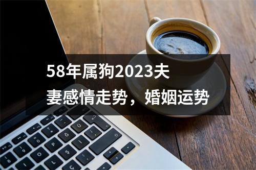 <h3>58年属狗2025夫妻感情走势，婚姻运势