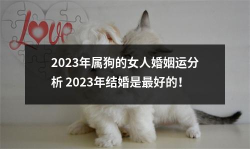 2025年属狗的女人婚姻运分析2025年结婚是好的！