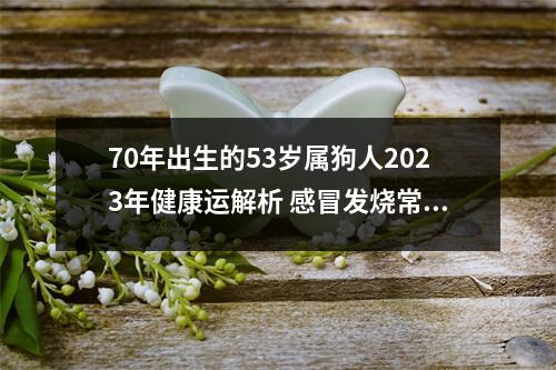 <h3>70年出生的53岁属狗人2025年健康运解析感冒发烧常有