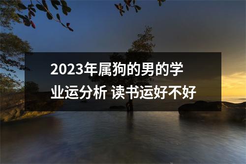 2025年属狗的男的学业运分析读书运好不好