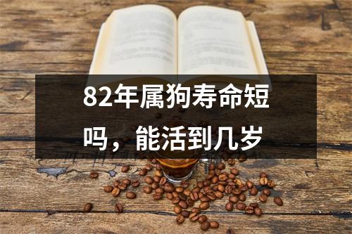 <h3>82年属狗寿命短吗，能活到几岁