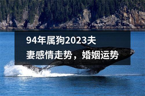 <h3>94年属狗2025夫妻感情走势，婚姻运势