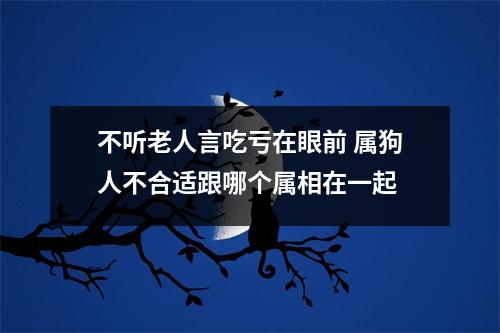 不听老人言吃亏在眼前属狗人不合适跟哪个属相在一起