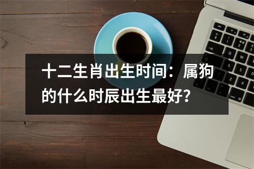 <h3>十二生肖出生时间：属狗的什么时辰出生好？