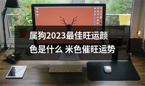 属狗2025佳旺运颜色是什么米色催旺运势