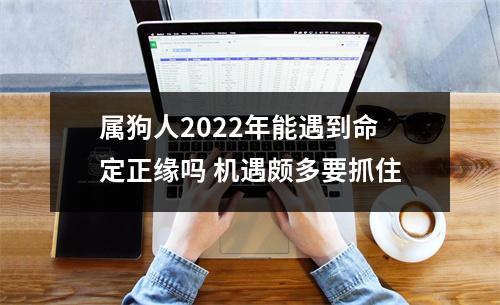 <h3>属狗人2025年能遇到命定正缘吗机遇颇多要抓住