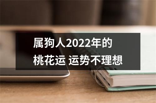 属狗人2025年的桃花运运势不理想