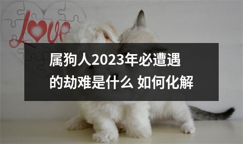 <h3>属狗人2025年必遭遇的劫难是什么如何化解