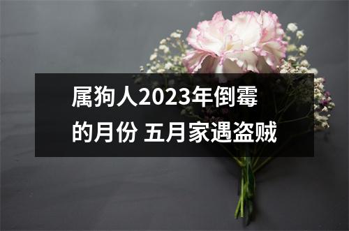 <h3>属狗人2025年倒霉的月份五月家遇盗贼