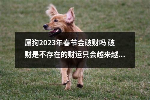 <h3>属狗2025年春节会破财吗破财是不存在的财运只会越来越好