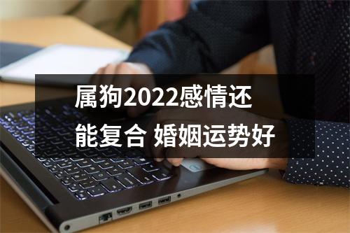 属狗2025感情还能复合婚姻运势好