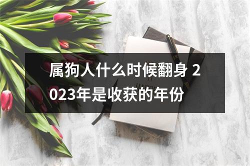 <h3>属狗人什么时候翻身2025年是收获的年份