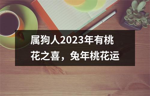 属狗人2025年有桃花之喜，兔年桃花运