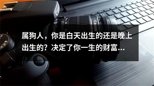 属狗人，你是白天出生的还是晚上出生的？决定了你一生的财富！