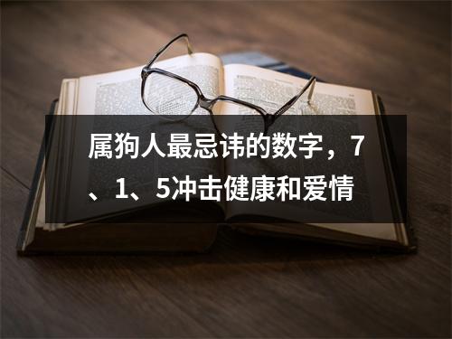 <h3>属狗人忌讳的数字，7、1、5冲击健康和爱情