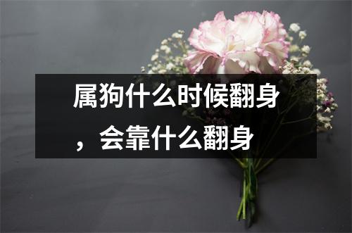 <h3>属狗什么时候翻身，会靠什么翻身