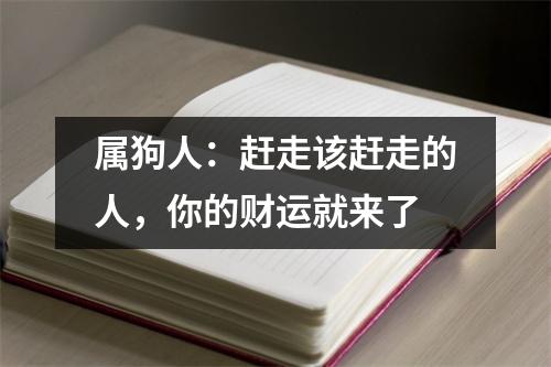 <h3>属狗人：赶走该赶走的人，你的财运就来了