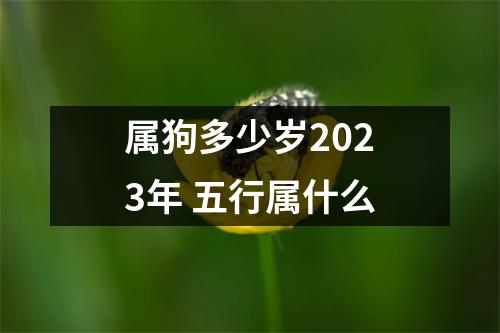 <h3>属狗多少岁2025年五行属什么