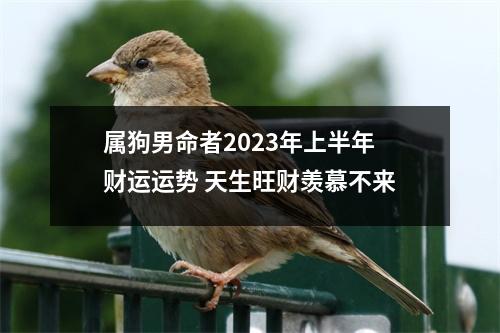 属狗男命者2025年上半年财运运势天生旺财羡慕不来