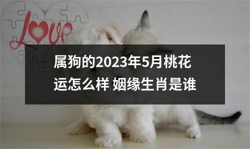 <h3>属狗的2025年5月桃花运怎么样姻缘生肖是谁