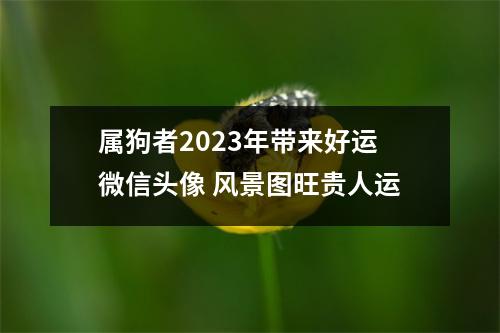 <h3>属狗者2025年带来好运微信头像风景图旺贵人运