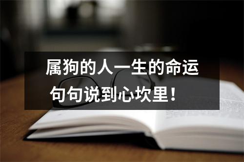 属狗的人一生的命运句句说到心坎里！