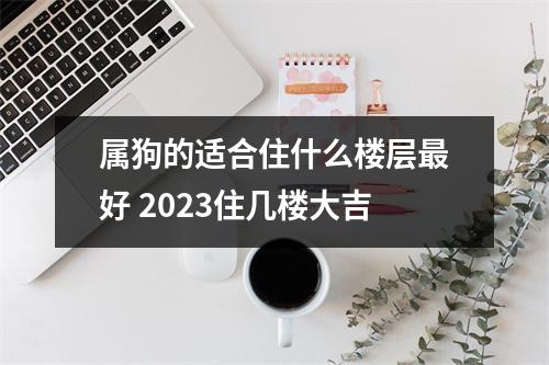 属狗的适合住什么楼层好2025住几楼大吉