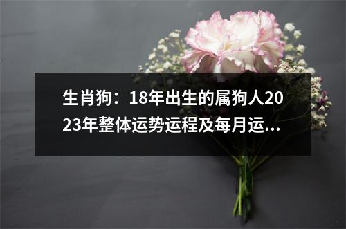 生肖狗：18年出生的属狗人2025年整体运势运程及每月运势