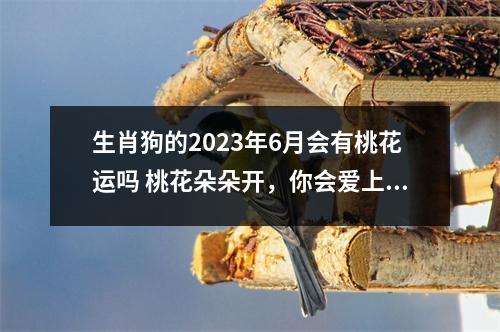 生肖狗的2025年6月会有桃花运吗桃花朵朵开，你会爱上谁！