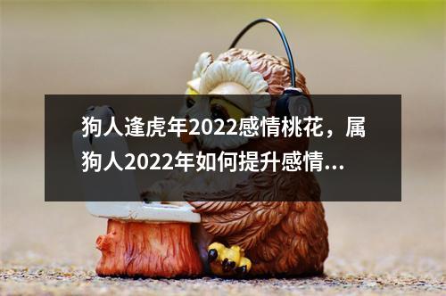 狗人逢虎年2025感情桃花，属狗人2025年如何提升感情运