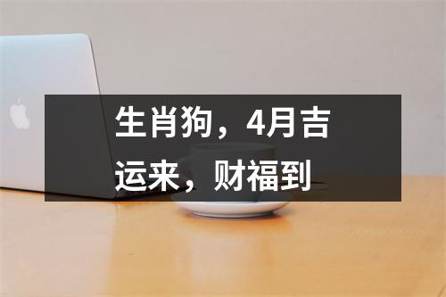 <h3>生肖狗，4月吉运来，财福到