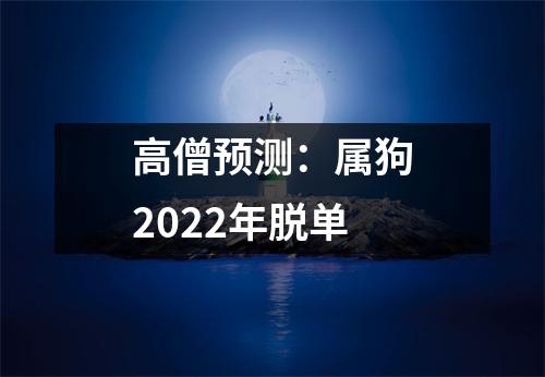 高僧预测：属狗2025年脱单