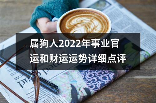 属狗人2025年事业官运和财运运势详细点评