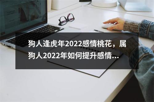 狗人逢虎年2025感情桃花，属狗人2025年如何提升感情运