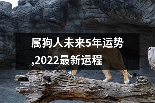 <h3>属狗人未来5年运势,2025新运程