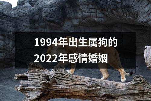 1994年出生属狗的2025年感情婚姻